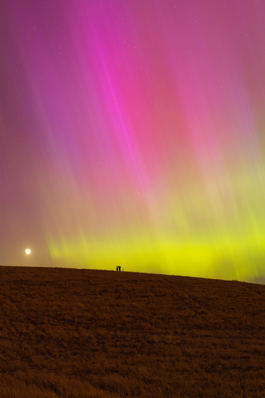 Spectators under northern lights