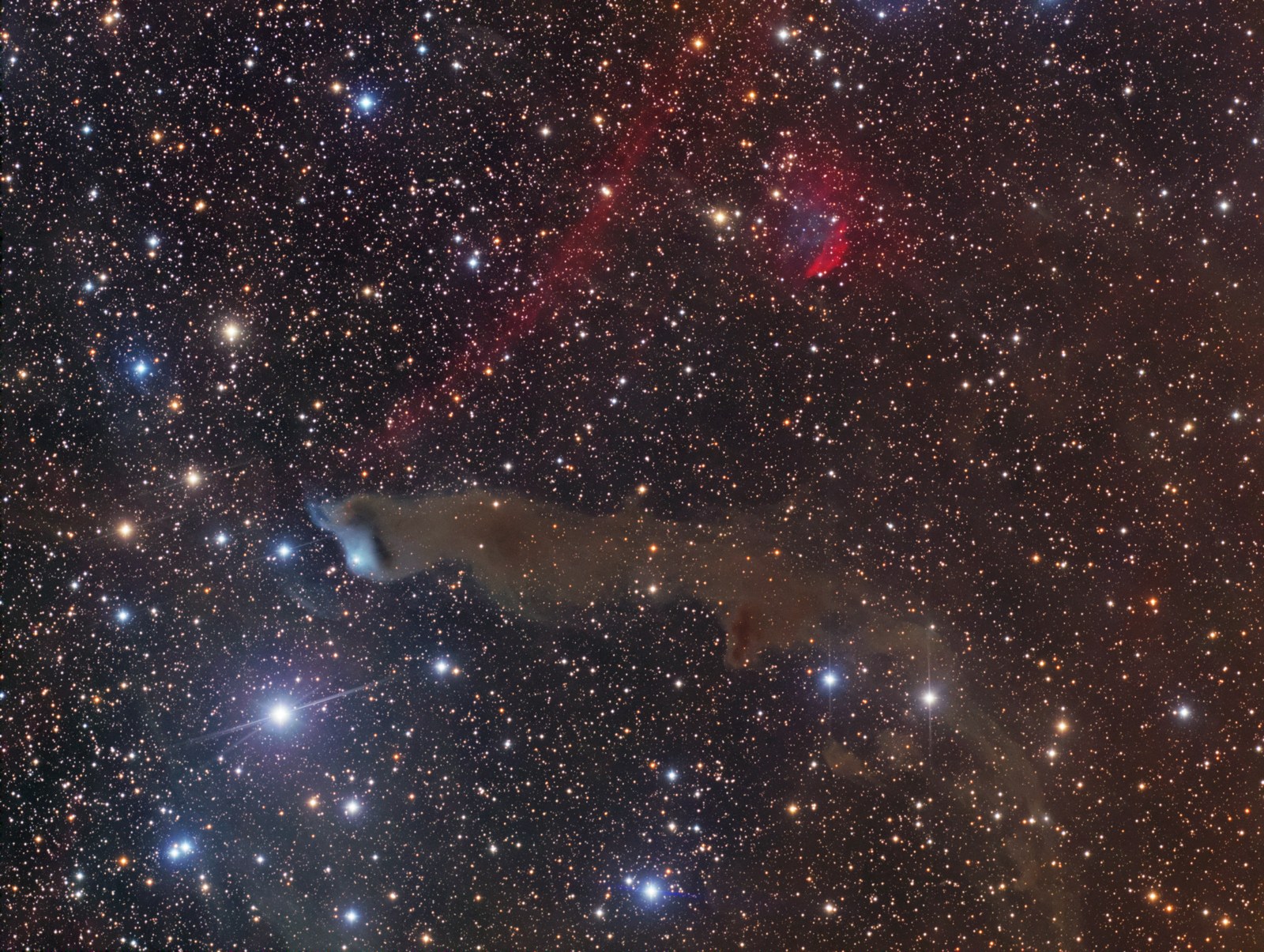 Cepheus