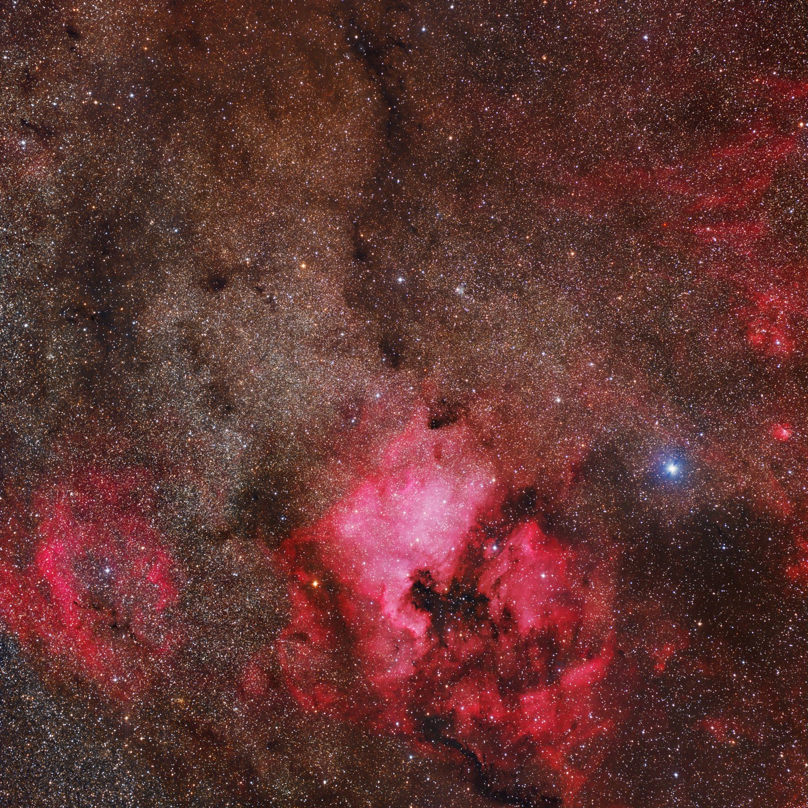 Cygnus north america nebula