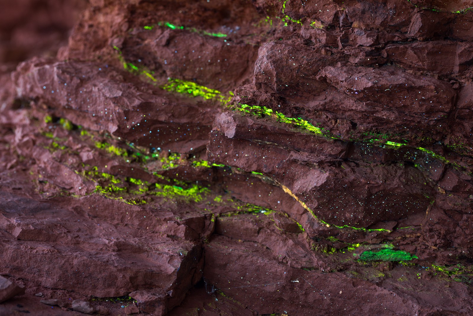 Green moss on canyon wall