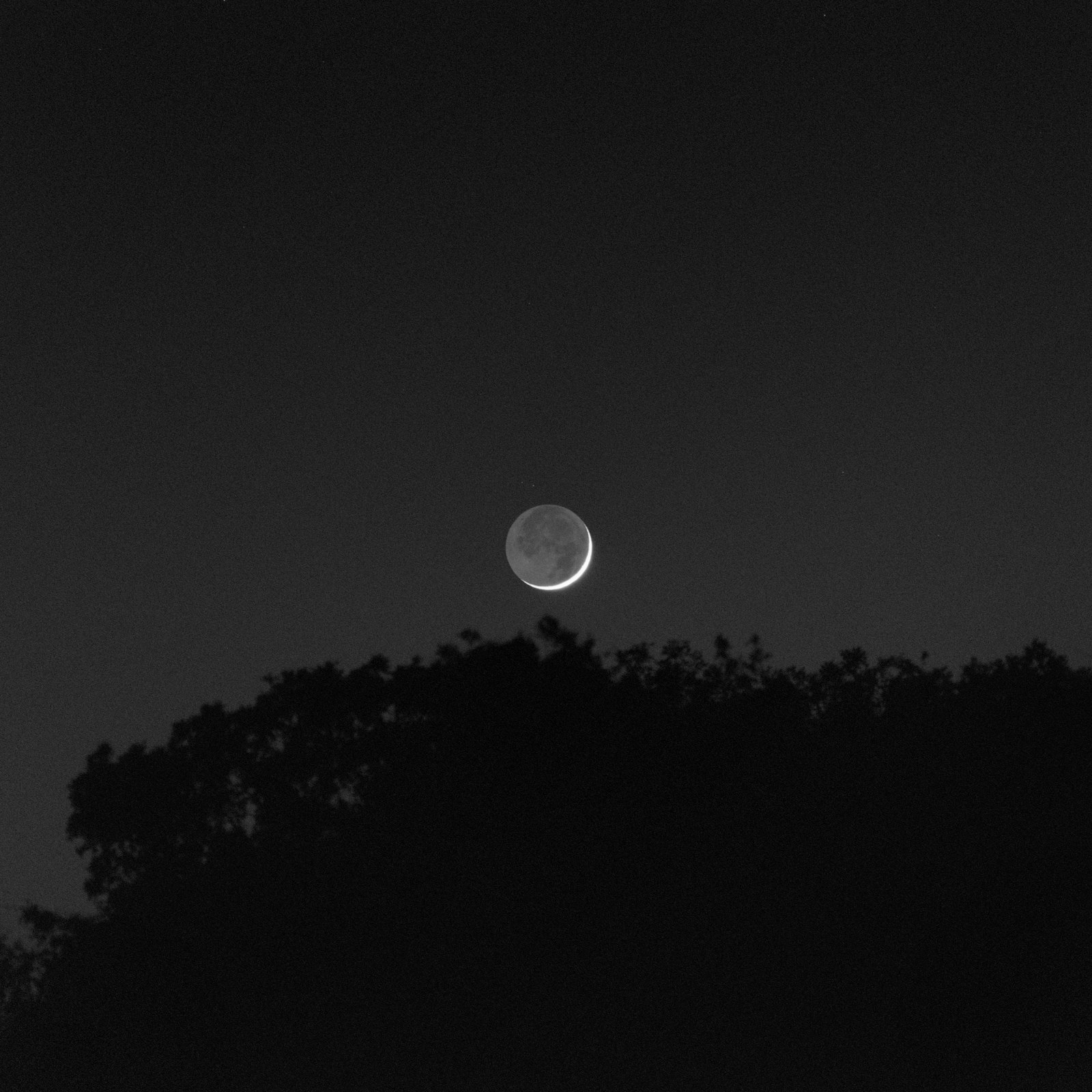 Black-and-white crescent Moon with earthshine above trees