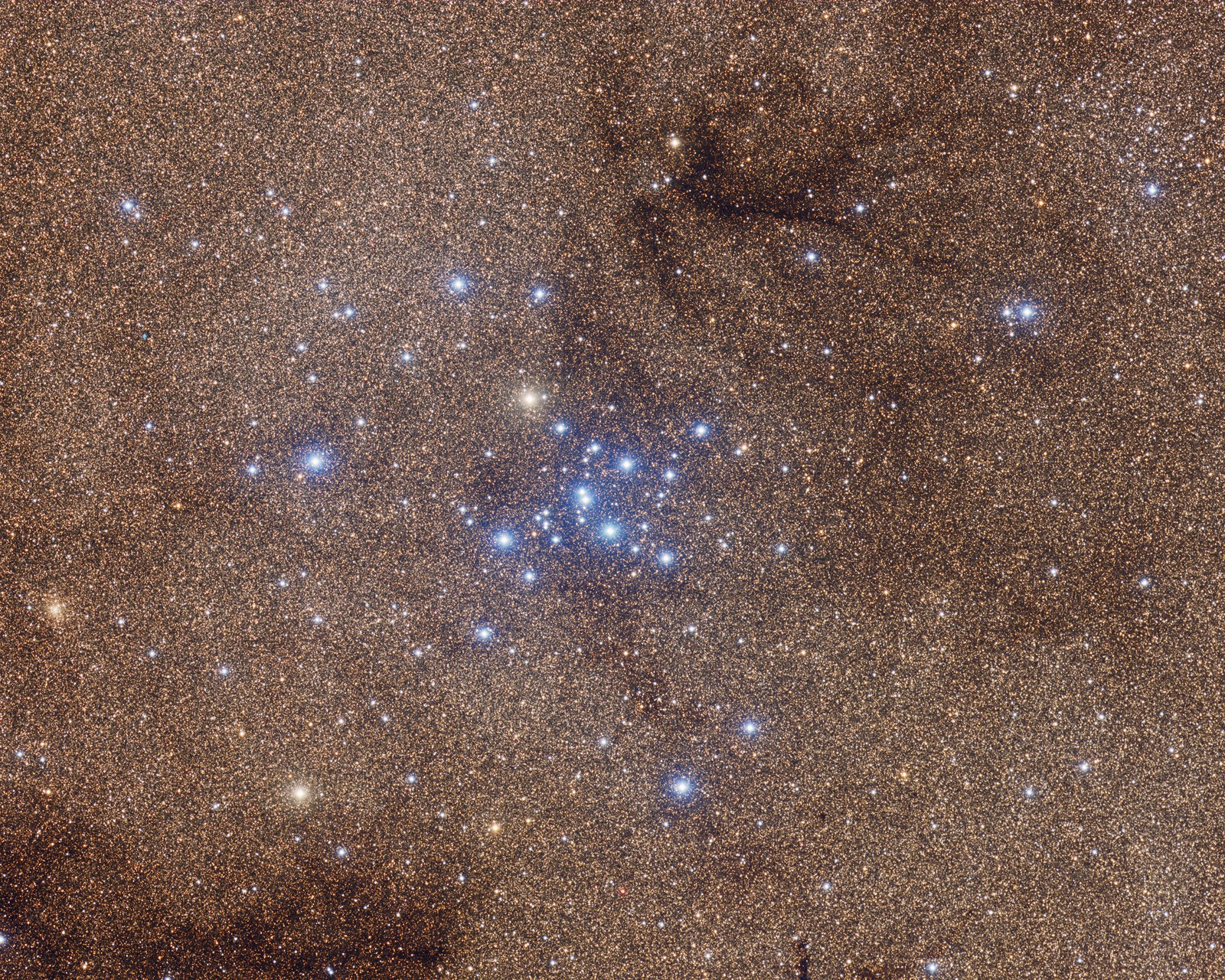 Ptolemys cluster