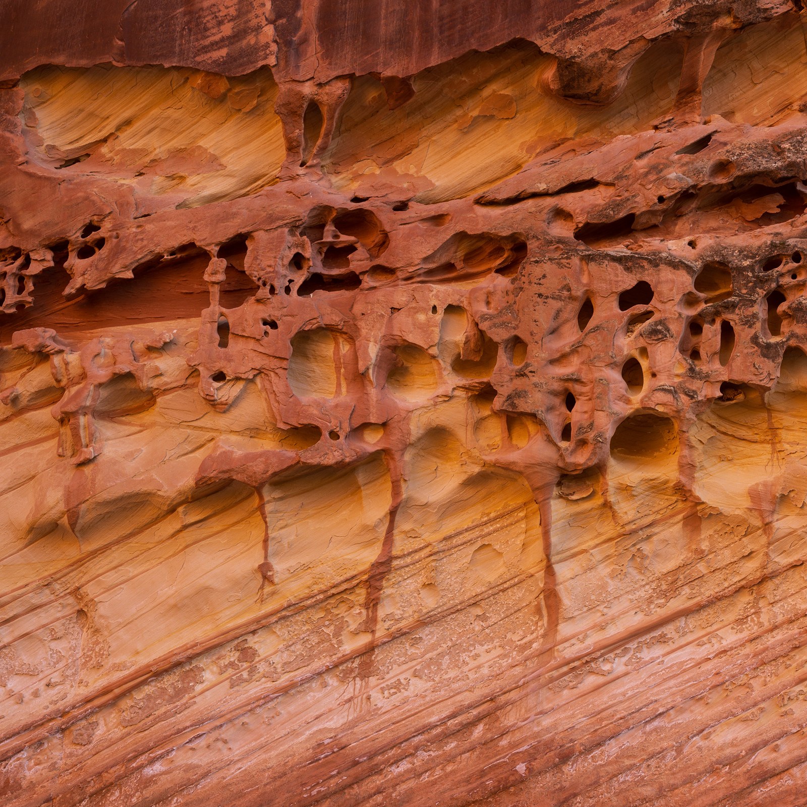Sandstone honeycomb texture