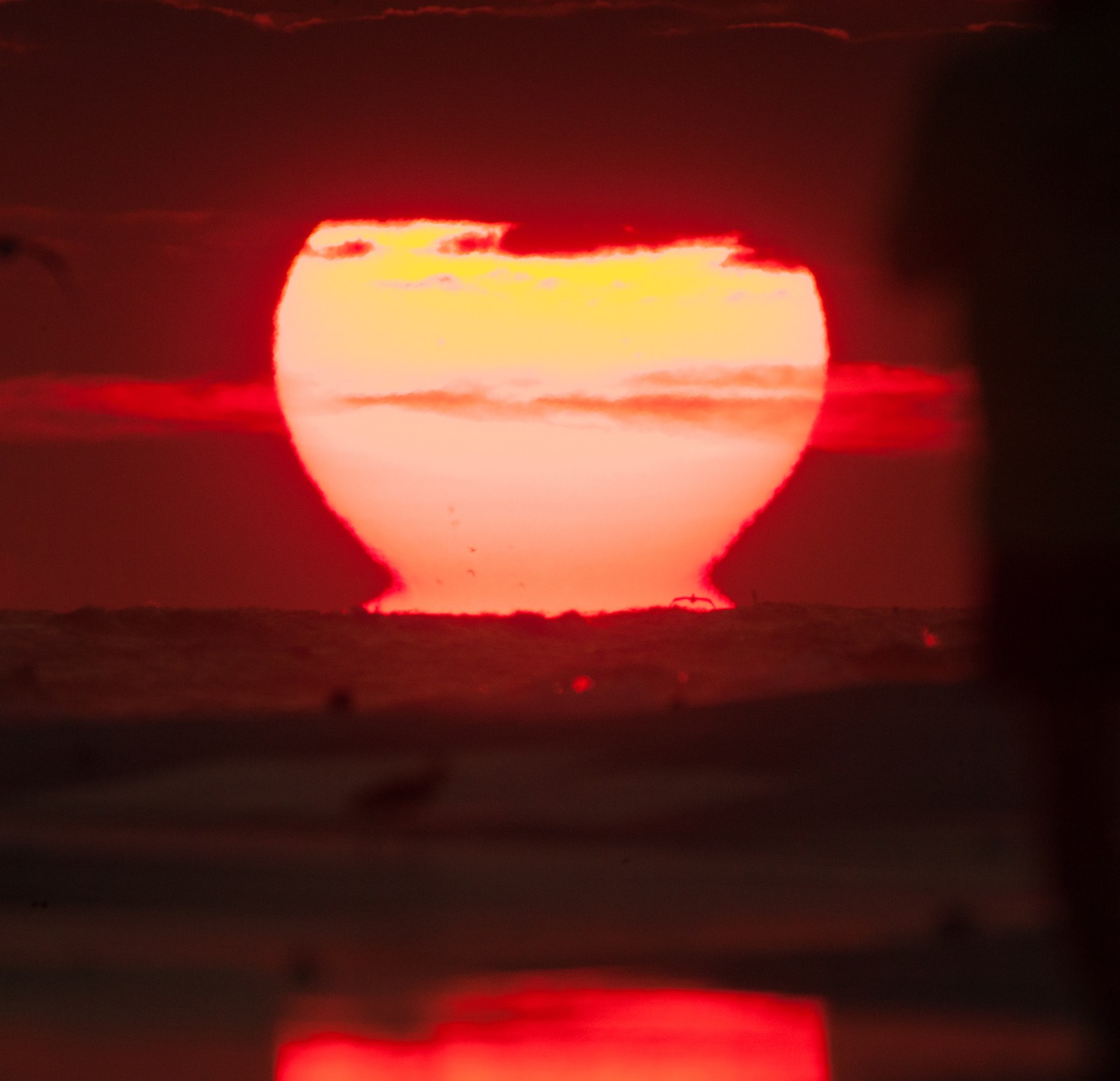 Sunrise florida