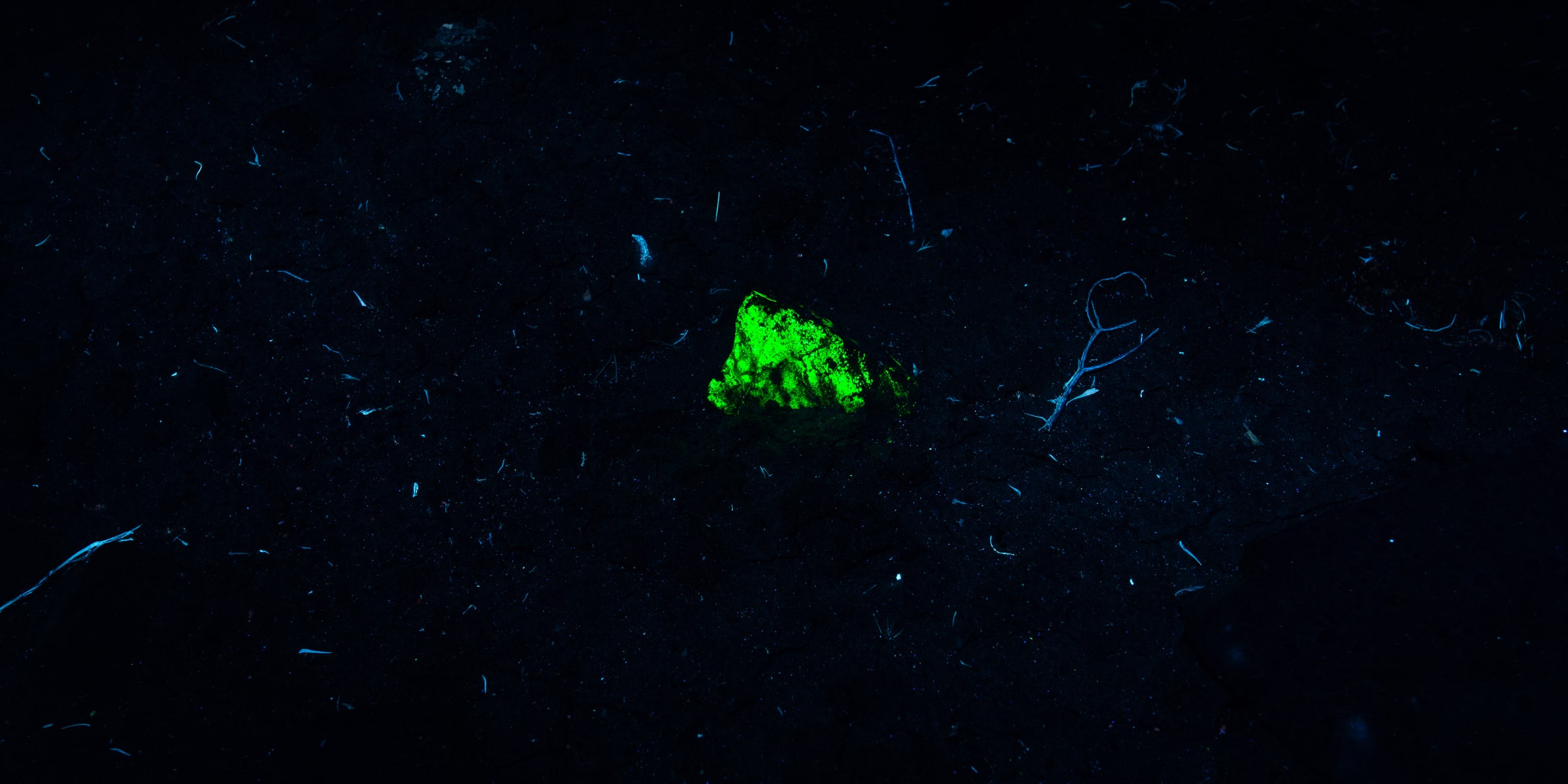 Rock detail 1 under ultraviolet light