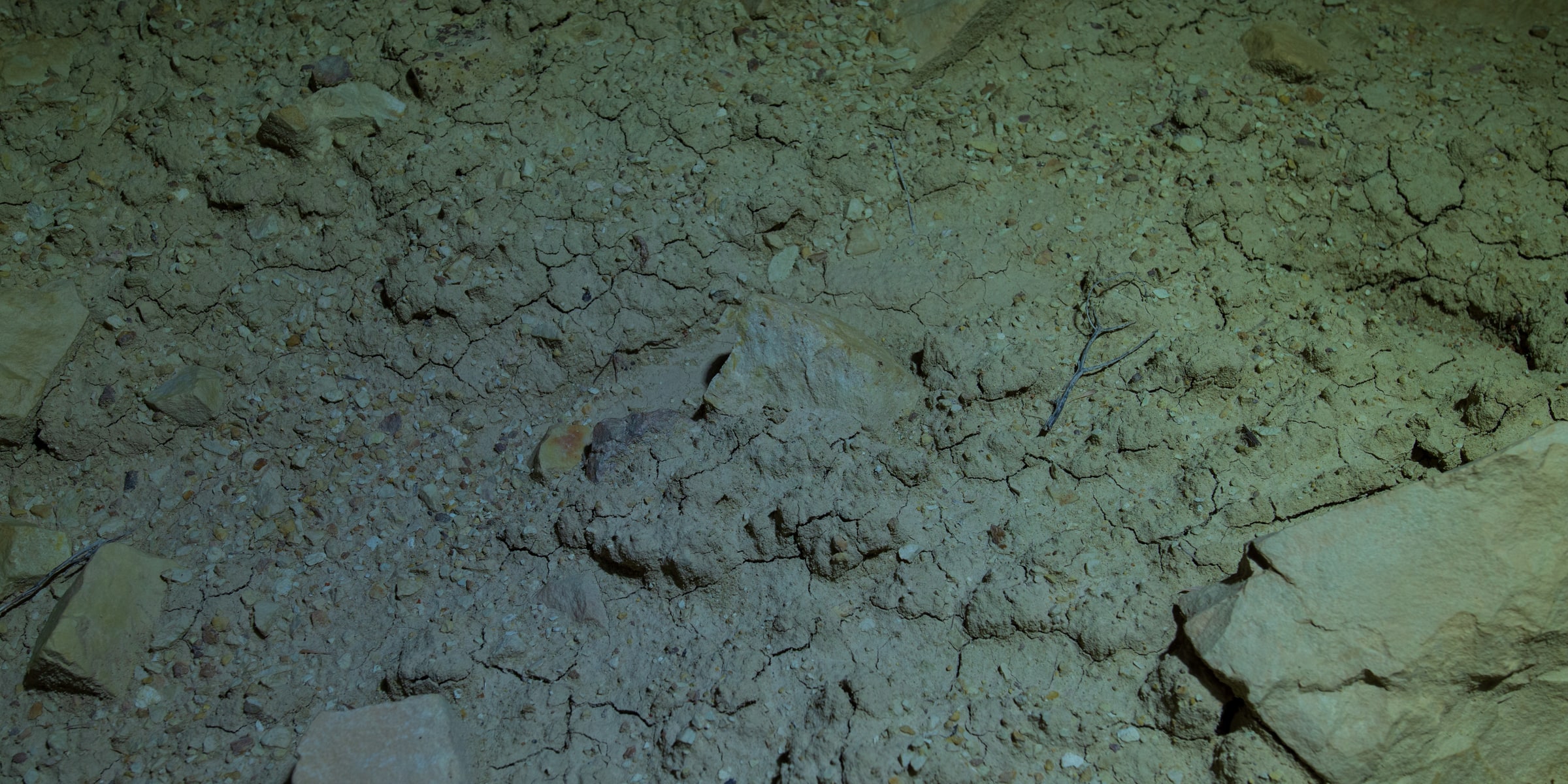 Rock detail 1 under visible light